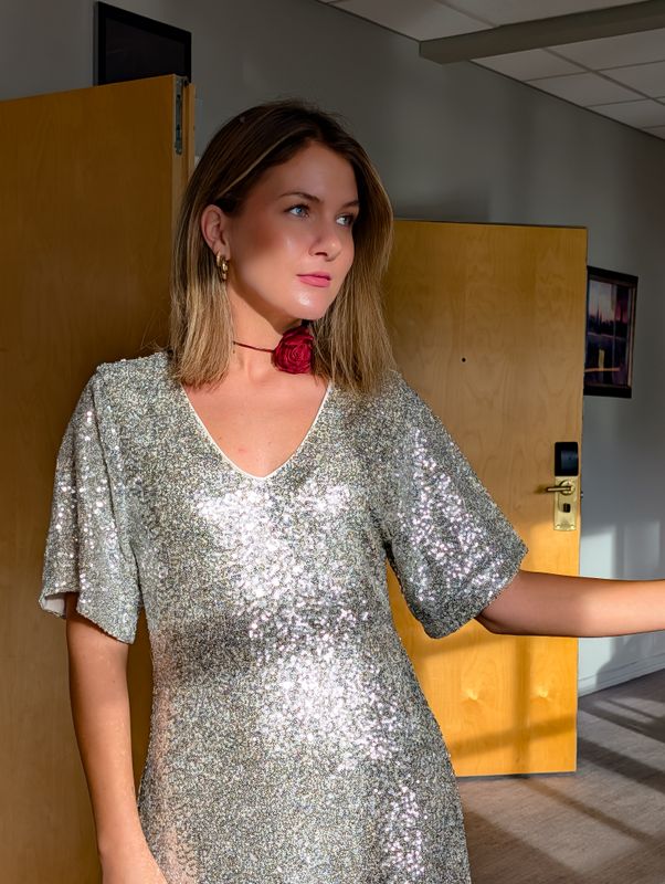 Fauca Sequin Dress Ichi