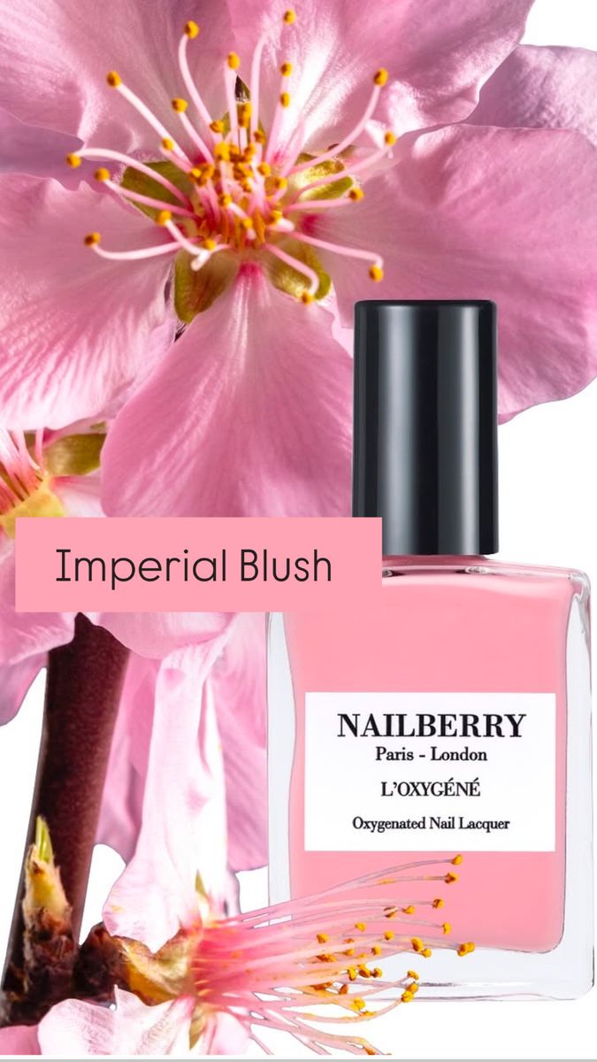 4 Season Collection Nailberry